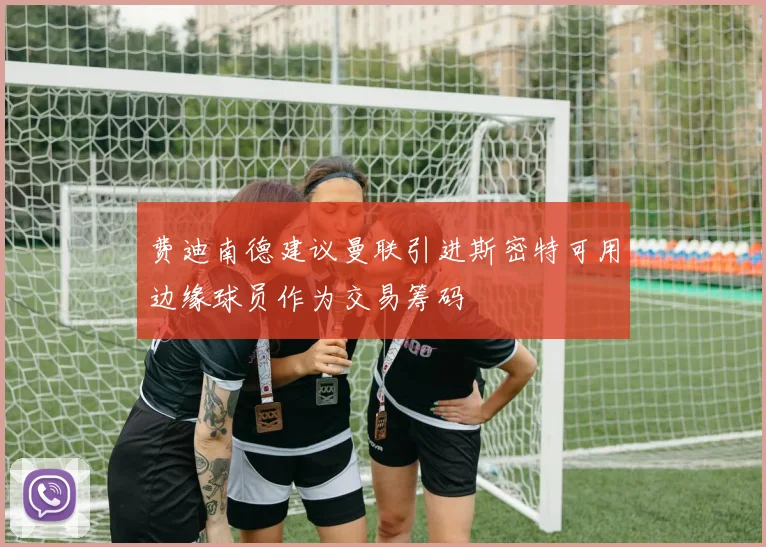 费迪南德建议曼联引进斯密特可用边缘球员作为交易筹码